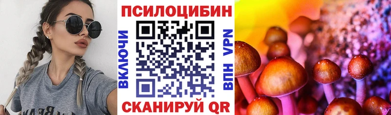 Купить закладки  Дальнереченск  Псилоцибиновые грибы мицелий 